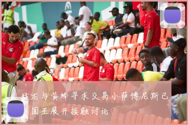 猛龙与黄蜂寻求交易小萨博尼斯已与国王展开接触讨论