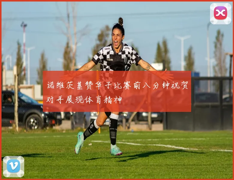 诺维茨基赞华子比赛前八分钟祝贺对手展现体育精神